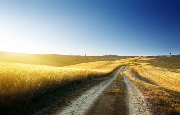 Road, wheat, summer, the sky, grass, freedom, the sun, light