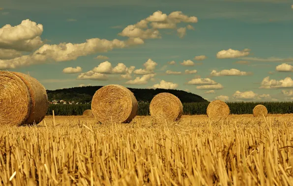 Field, forest, the sky, clouds, hills, hay, bales, houses
