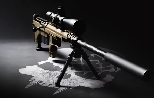 Picture sight, rifle, muffler, sniper