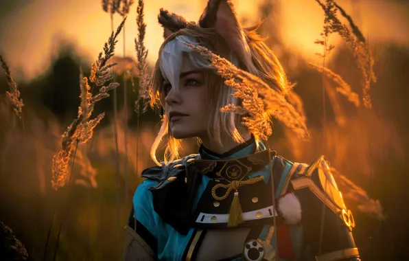 Field, grass, sunset, face, costume, outfit, image, ears