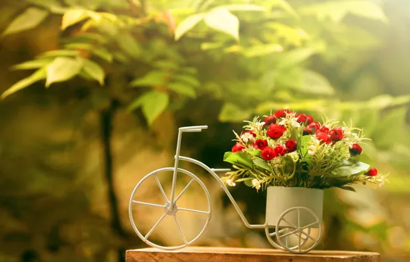 Greens, flowers, bike, foliage, bouquet, red