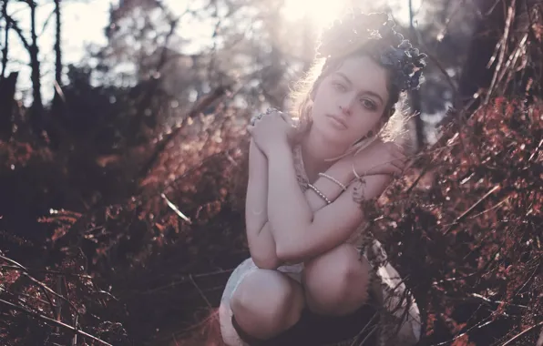 Look, light, nature, wreath, bokeh