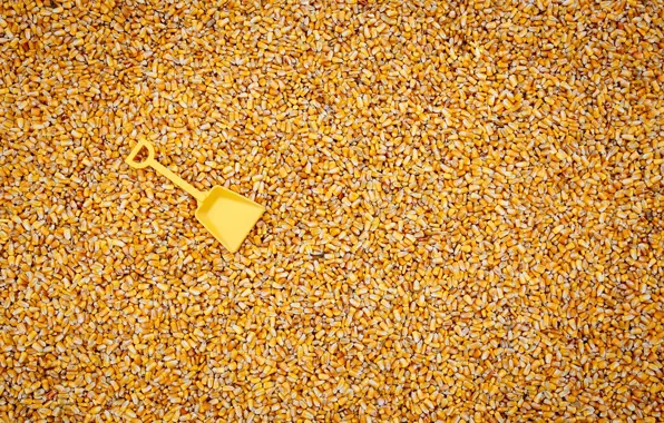 Background, grain, shovel