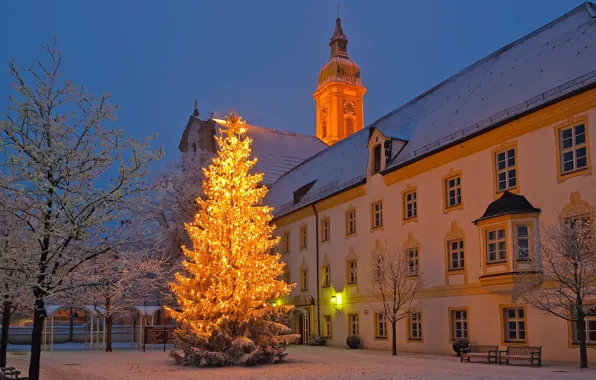 City, lights, Christmas, twilight, trees, Germany, sunset, winter