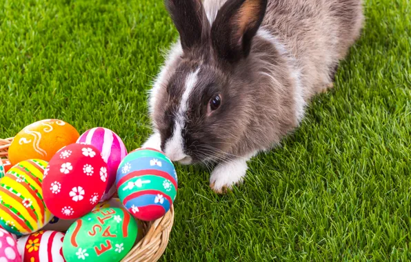 Holiday, basket, rabbit, Easter, eggs dyed