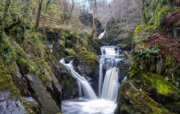 Nature, Stream, Waterfall, Trees, River, Stones, Moss
