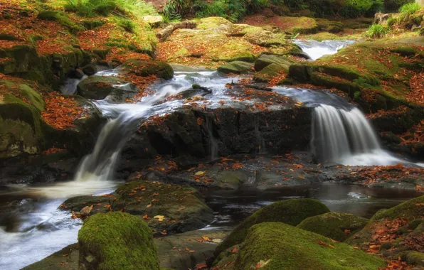 Autumn, water, nature, stones, foliage, waterfall, moss, falling leaves