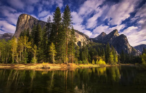 Picture trees, mountains, nature, river, morning, CA, Yosemite, California