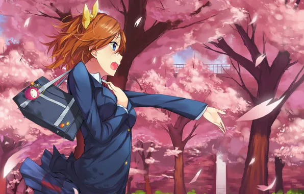 Girl, joy, the wind, petals, form, gesture, art, love live! school idol project