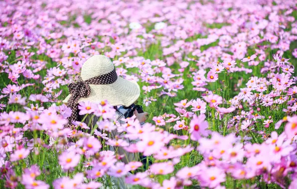 Summer, flowers, hat