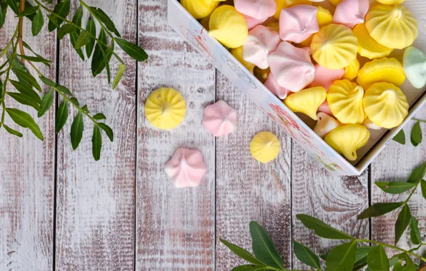 Leaves, the sweetness, box, Bizet