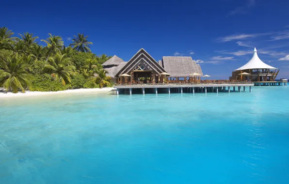 The ocean, The Maldives, resort, exotic, water, island, baros maldives resort