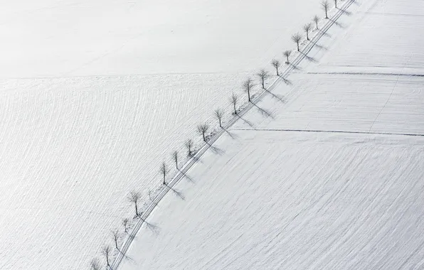 Field, snow, trees, landscape, minimalism