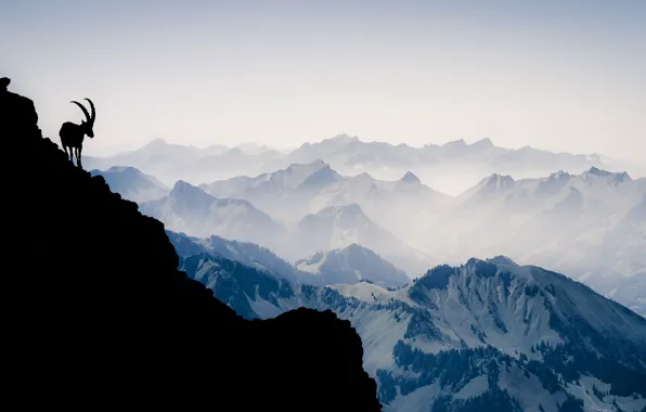 Mountains, mountain, Switzerland, silhouette, Alps, mountain goat, Vanilla Noir