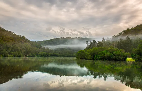 Forest, nature, lake, haze, Australia, Berowa Creek