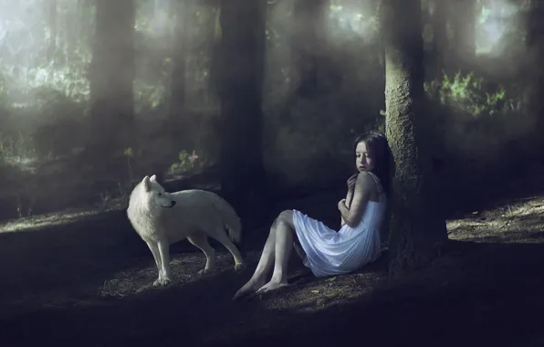 Forest, dog, girl