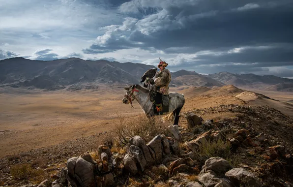 Field, clouds, mountains, stones, horse, horse, rider, male