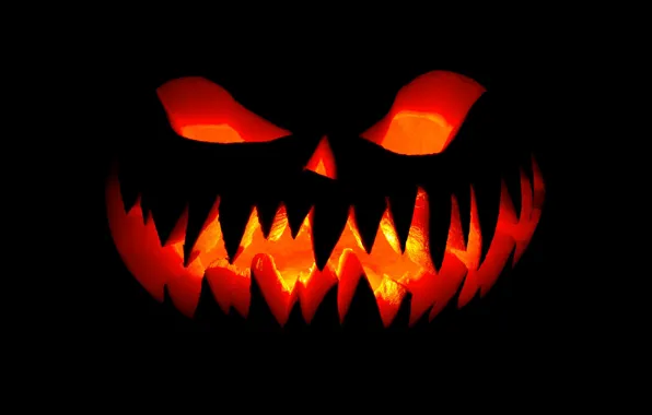 Background, fright, pumpkin, Halloween