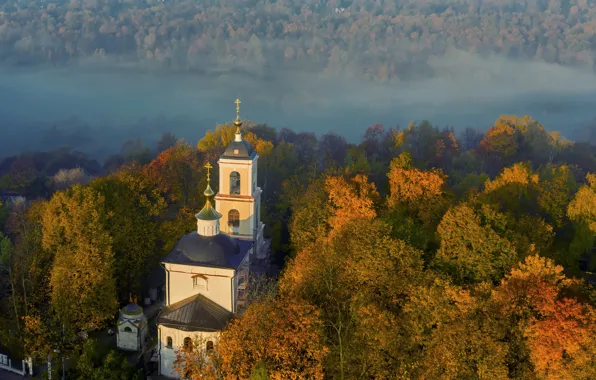 Picture autumn, trees, fog, Church, Moscow, Russia, Kurkino, Temple of Vladimir icon of mother of God