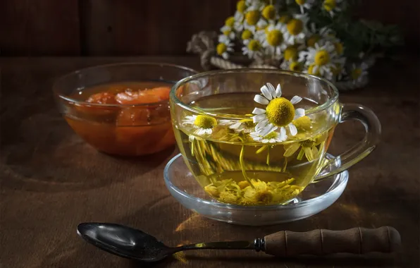 Glass, light, flowers, table, tea, chamomile, Daisy, spoon