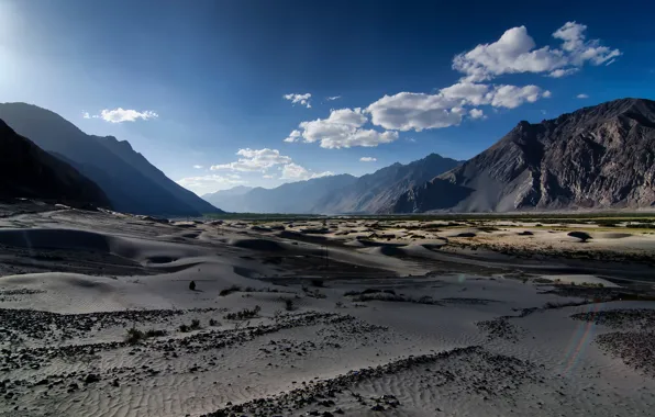 Picture sand, mountains, dunes, Nubra Valley