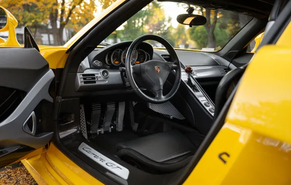 Picture Porsche, Porsche Carrera GT, steering wheel