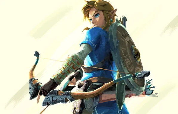 Picture Nintendo, Game, Link, The Legend Of Zelda: Breath Of The Wild