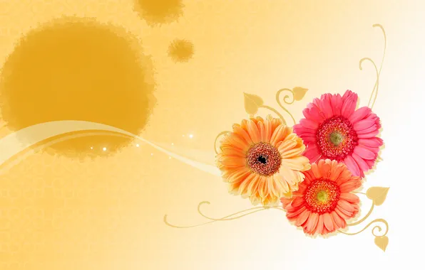 Line, flowers, collage, Wallpaper, gerbera, saver, postcard