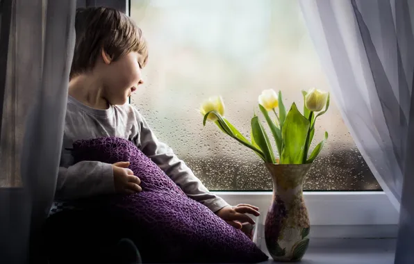 Flowers, boy, window