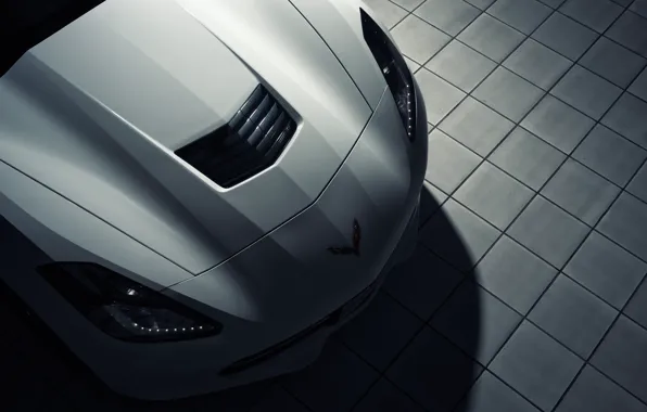 Picture Corvette, Chevrolet, white, front, roadster, Stingray
