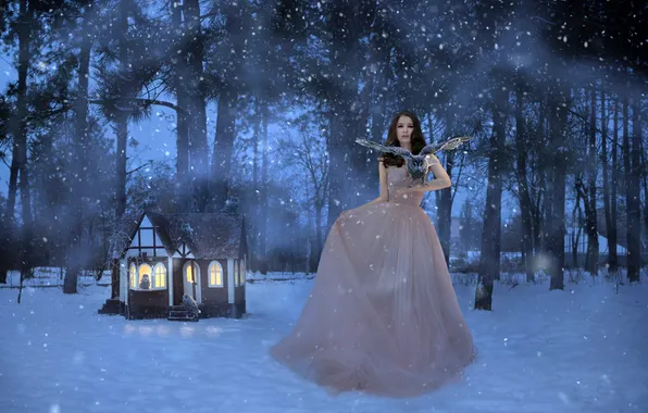 Winter, forest, look, girl, light, snow, trees, birds