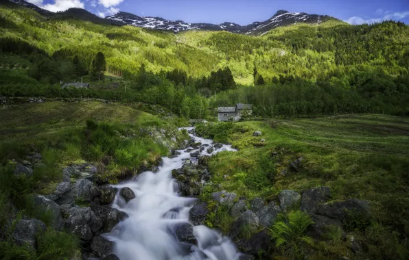 Picture trees, mountains, stream, field, village, Norway, hut, Norway
