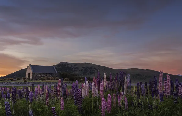 Field, summer, the sky, clouds, flowers, mountains, house, hills