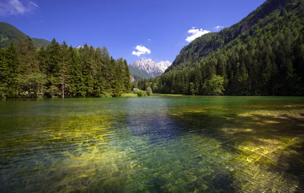 Forest, mountains, lake, the ripples on the water, Slovenia, Slovenia, Planšarsko lake, Plinarsko lake
