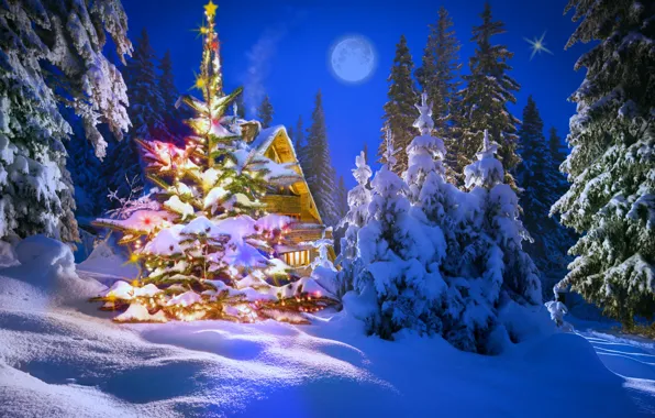 Picture winter, night, holiday