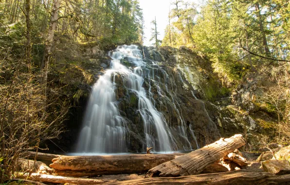 Nature, rocks, shore, waterfall, stream