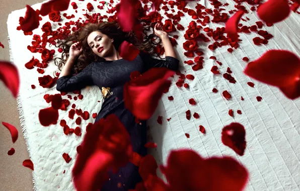Girl, roses, petals, Daniel Ilinca, Red Roses