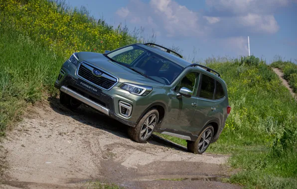 Picture grass, Subaru, dirt, crossover, Forester, 2019