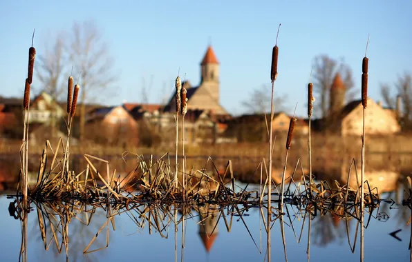 The sky, the city, reflection, river