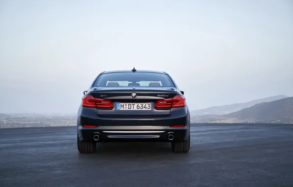 Picture the sky, BMW, sedan, xDrive, feed, 530d, Luxury Line, 5
