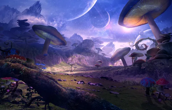 Mushrooms, planet, art, fantasy