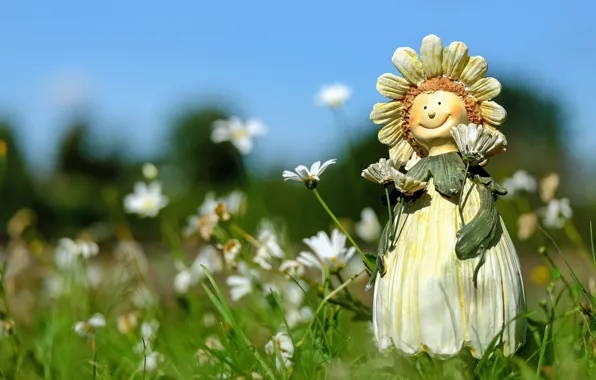Field, summer, grass, flowers, chamomile, doll, figure