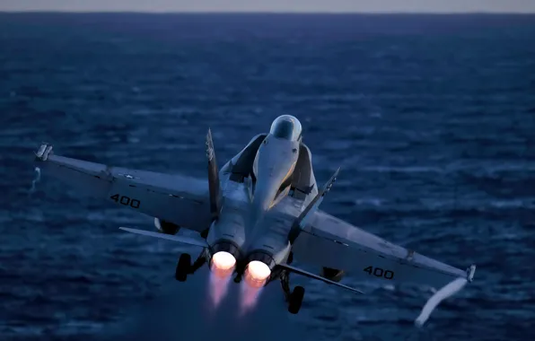 Picture Hornet, carrier-based fighter-bomber, McDonnell Douglas, FA-18
