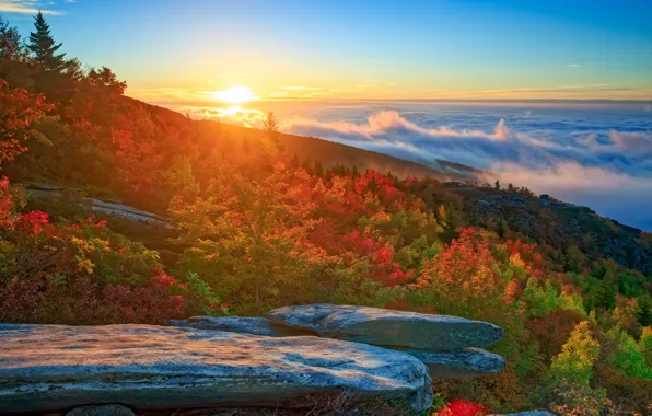 Autumn, forest, clouds, trees, mountains, sunrise, dawn, North Carolina