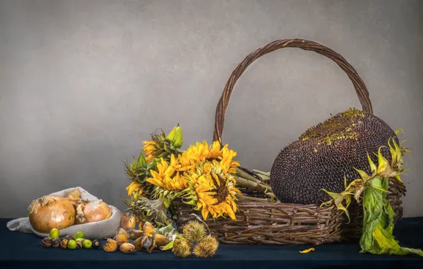 Basket, sunflower, bow, nuts, seeds, acorns