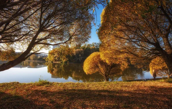 Picture autumn, landscape, nature, Park, river, dam