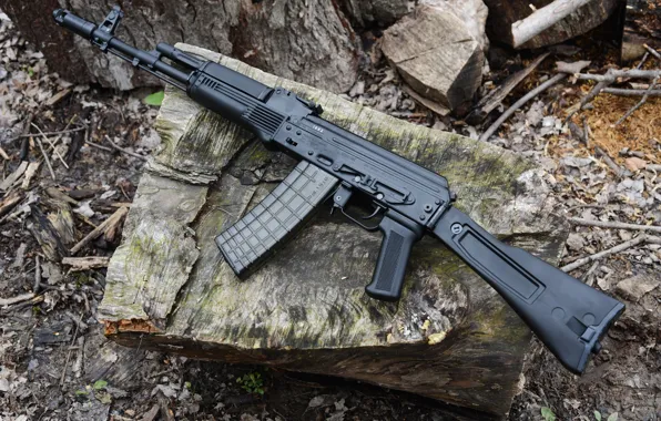 Picture weapons, machine, SLR-106FR