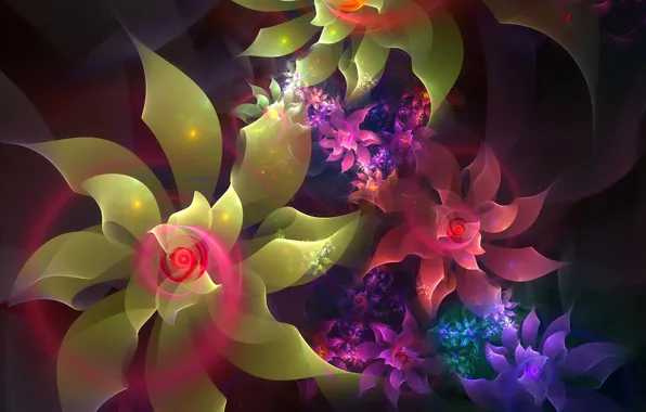 Light, line, flowers, spiral, petals, the volume
