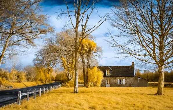 Picture road, trees, house