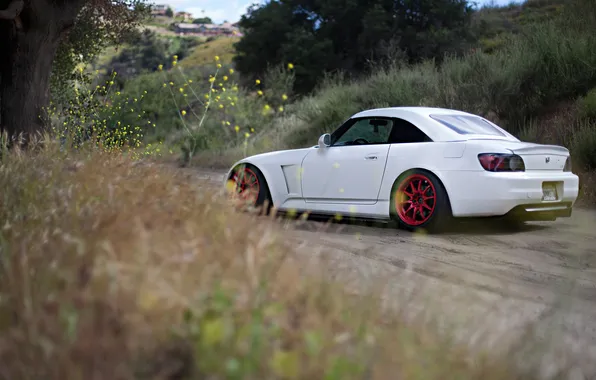 Nature, tuning, Honda, honda s2000